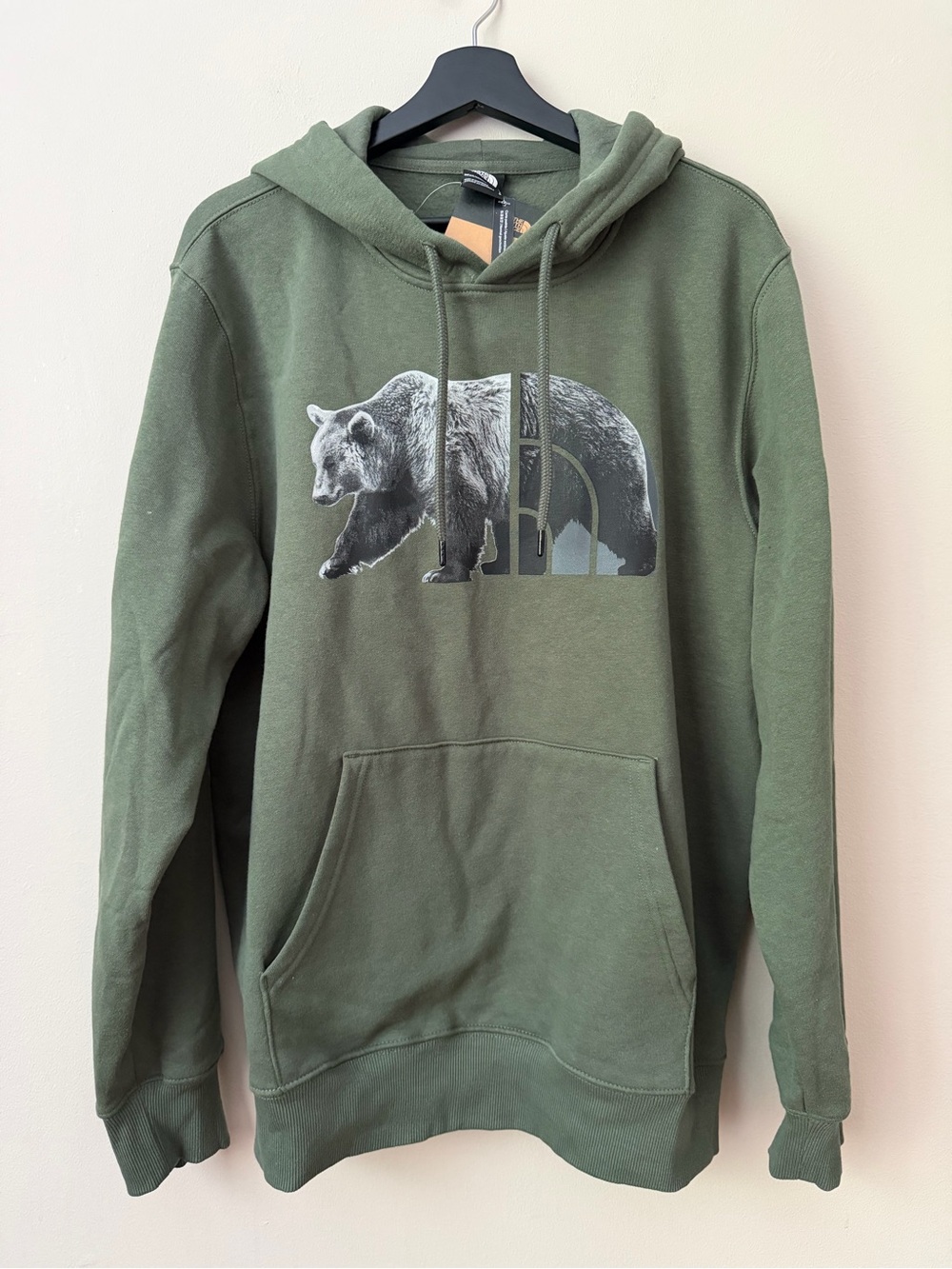 NWT The North Face Men's Bear Graphic Pullover Hoodie Green Large - Picture 2 of 8